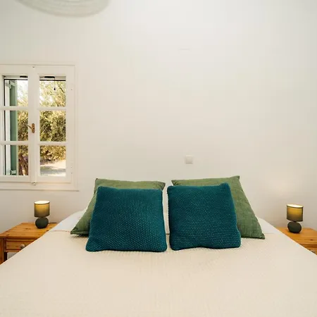 La Maison De Lilac-luxurious Olive Grove Apartment