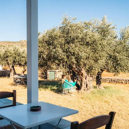 La Maison De Lilac-luxurious Olive Grove