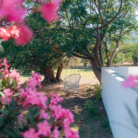 Apartment La Maison De Lilac-luxurious Olive Grove